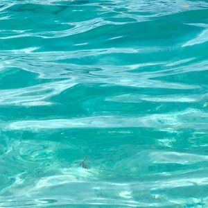 Meet your Posher, Diana